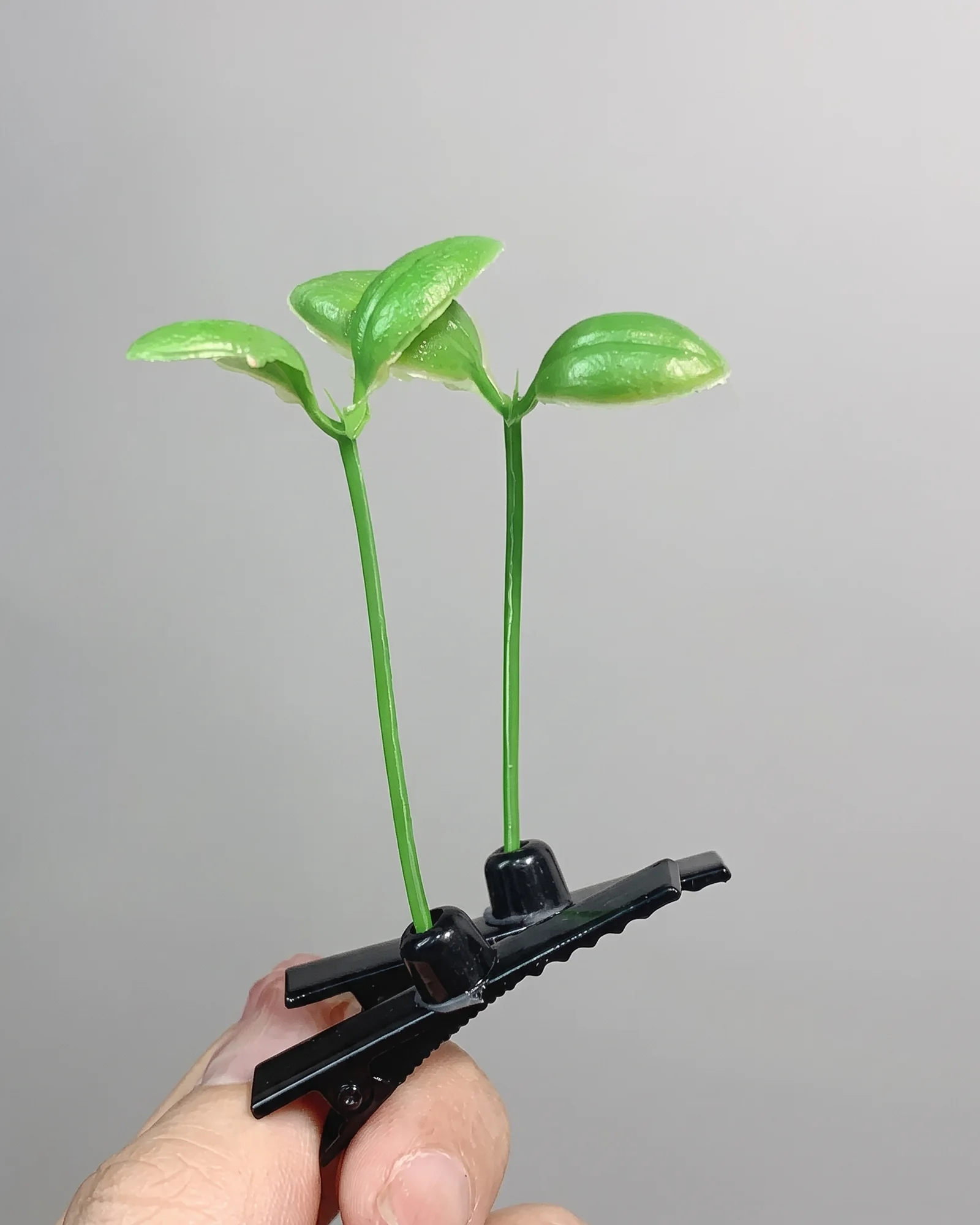 Ganchos y accesorios para el cabello